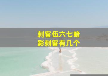 刺客伍六七暗影刺客有几个