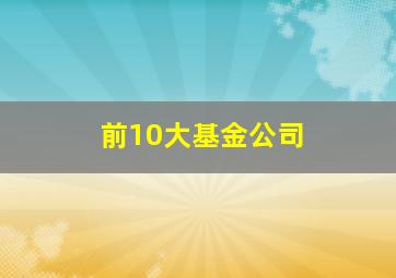 前10大基金公司