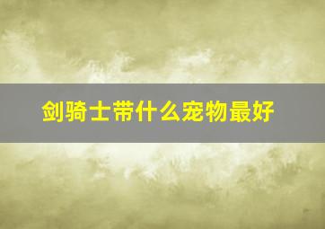 剑骑士带什么宠物最好