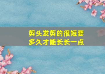 剪头发剪的很短要多久才能长长一点