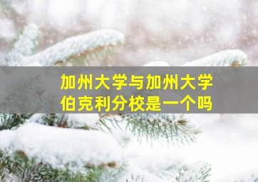 加州大学与加州大学伯克利分校是一个吗