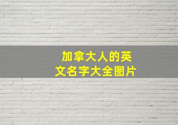 加拿大人的英文名字大全图片