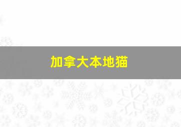 加拿大本地猫