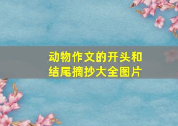 动物作文的开头和结尾摘抄大全图片