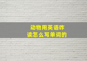 动物用英语咋读怎么写单词的