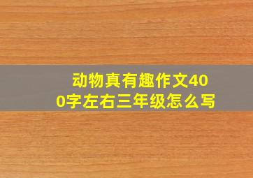 动物真有趣作文400字左右三年级怎么写