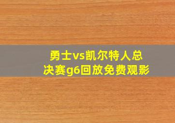 勇士vs凯尔特人总决赛g6回放免费观影