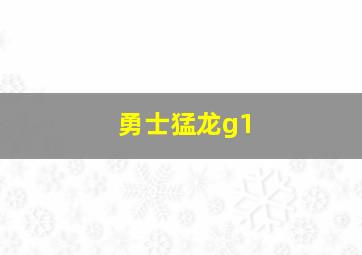 勇士猛龙g1