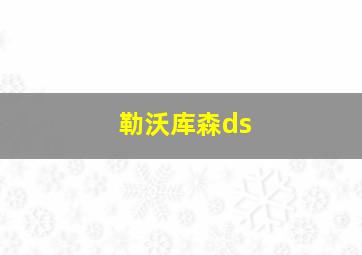 勒沃库森ds