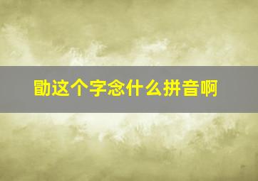 勖这个字念什么拼音啊