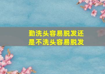 勤洗头容易脱发还是不洗头容易脱发