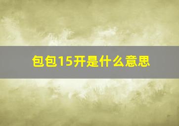 包包15开是什么意思