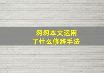 匆匆本文运用了什么修辞手法