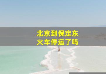 北京到保定东火车停运了吗