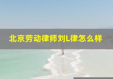 北京劳动律师刘L律怎么样