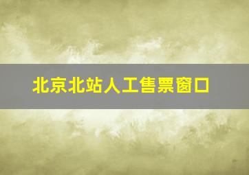 北京北站人工售票窗口