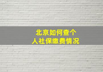 北京如何查个人社保缴费情况