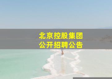 北京控股集团公开招聘公告