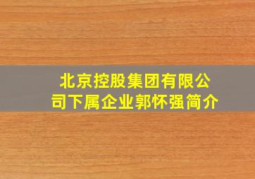 北京控股集团有限公司下属企业郭怀强简介