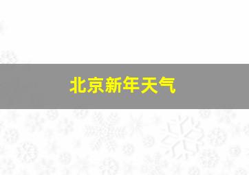 北京新年天气