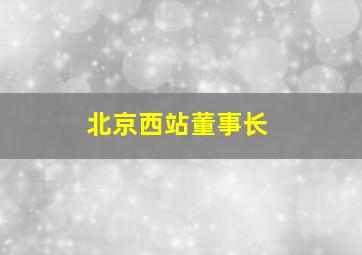 北京西站董事长