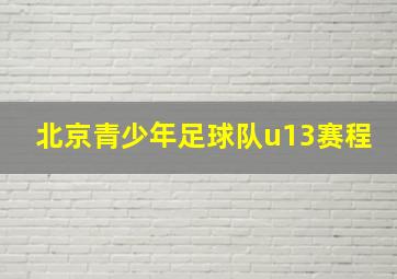 北京青少年足球队u13赛程