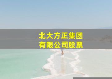 北大方正集团有限公司股票