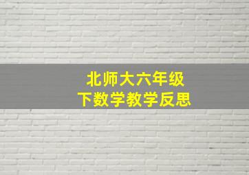 北师大六年级下数学教学反思