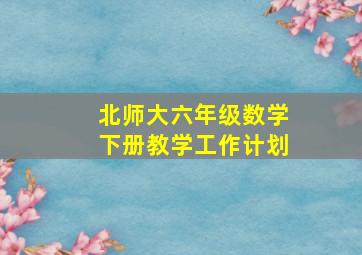 北师大六年级数学下册教学工作计划