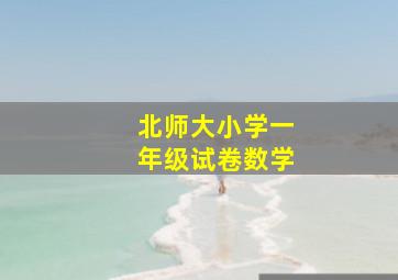 北师大小学一年级试卷数学