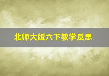 北师大版六下教学反思