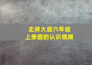 北师大版六年级上册圆的认识视频