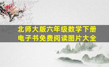 北师大版六年级数学下册电子书免费阅读图片大全