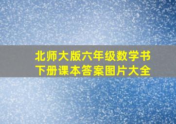 北师大版六年级数学书下册课本答案图片大全