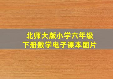 北师大版小学六年级下册数学电子课本图片