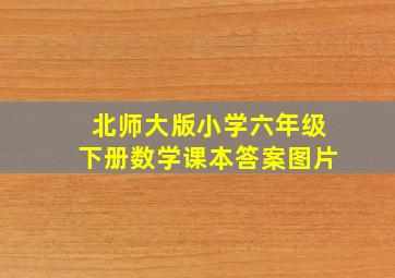 北师大版小学六年级下册数学课本答案图片