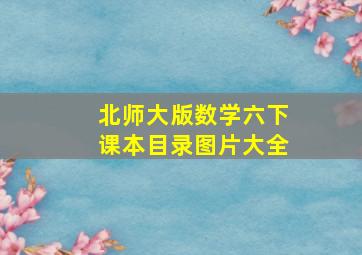 北师大版数学六下课本目录图片大全