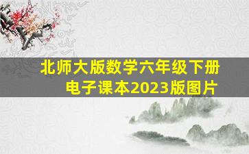 北师大版数学六年级下册电子课本2023版图片