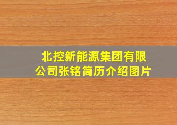 北控新能源集团有限公司张铭简历介绍图片