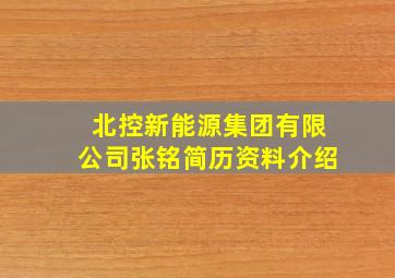 北控新能源集团有限公司张铭简历资料介绍