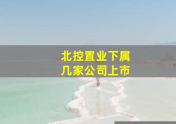 北控置业下属几家公司上市