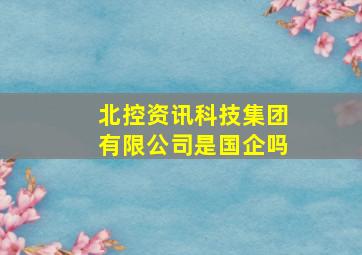 北控资讯科技集团有限公司是国企吗