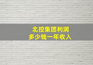 北控集团利润多少钱一年收入