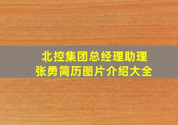 北控集团总经理助理张勇简历图片介绍大全