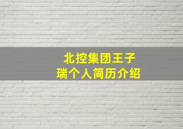 北控集团王子瑞个人简历介绍