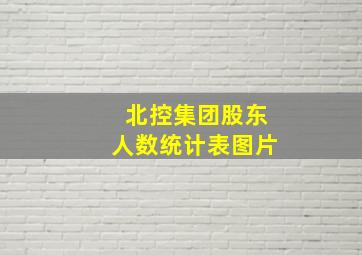 北控集团股东人数统计表图片