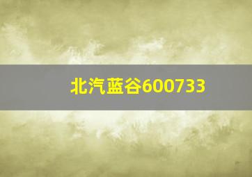 北汽蓝谷600733