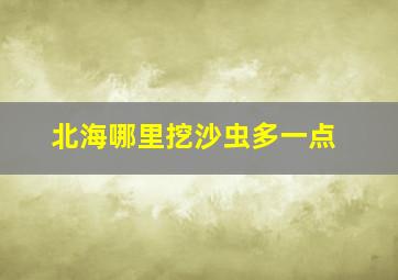 北海哪里挖沙虫多一点