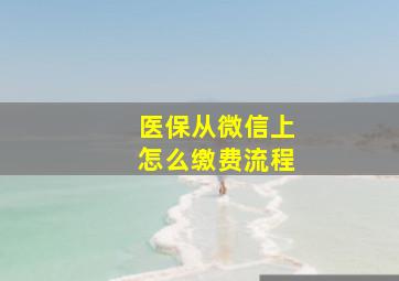 医保从微信上怎么缴费流程