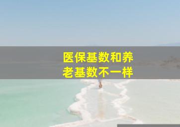 医保基数和养老基数不一样